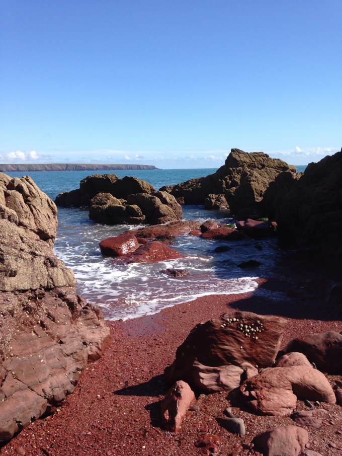 Limpets huddled together on a red rock next to the sea on the beach